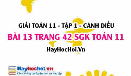 Giải bài 13 trang 42 Toán 11 tập 1 SGK Cánh Diều